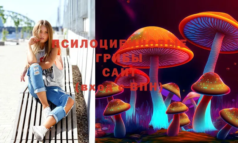 Галлюциногенные грибы Psilocybine cubensis  Байкальск 